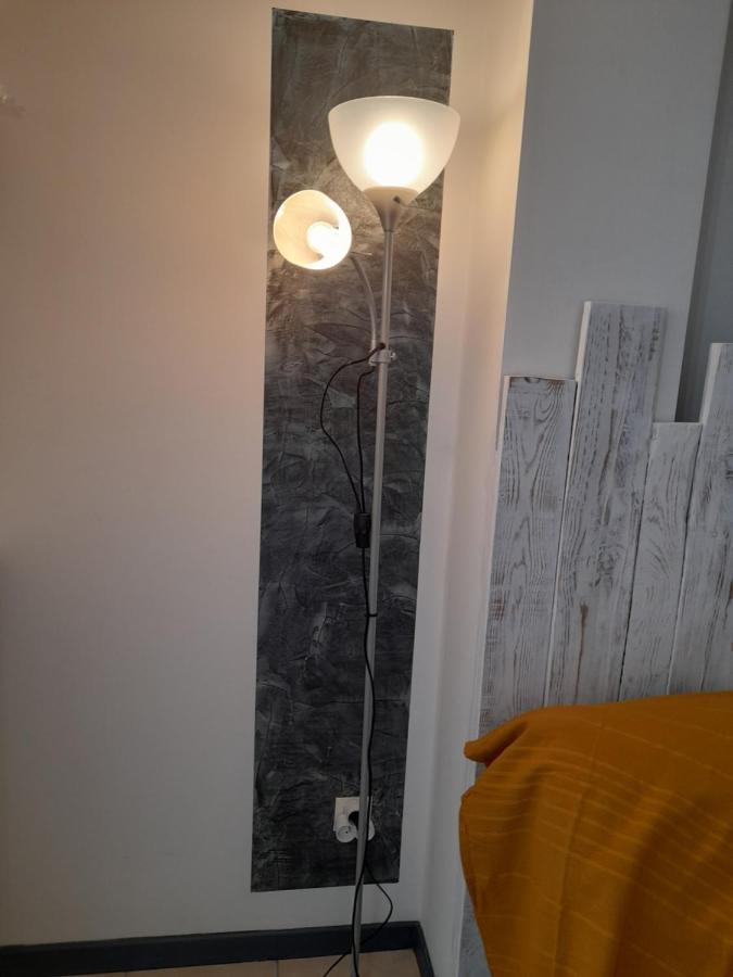 Chez Sabine Et Patrick Apartment นาร์บอนน์ ภายนอก รูปภาพ